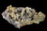 Calcite & Aragonite Stalactite Formation - Morocco #136284-2